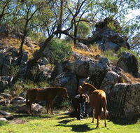 Coomba Falls - Australian Destinations