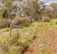 Old Mountain Road Walking Track - Australian Destinations