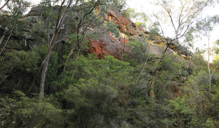Mount Lambie NSW Australian Destinations