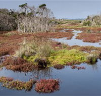 French Island National Park - Australian Destinations
