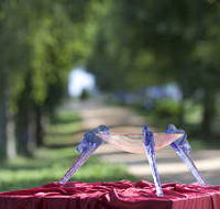 Lillico Glass Studio - Australian Destinations