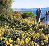 Joseph Banks Conservation Park - Australian Destinations