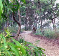 Mount Mutton Walking Trail - Australian Destinations