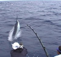 Amokura Charters - Australian Destinations
