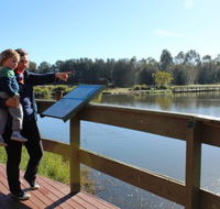 Hunter Wetlands Centre Australia - Australian Destinations