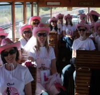 Newcastles Famous Tram - Australian Destinations