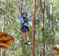 TreeTops Newcastle - Australian Destinations