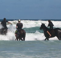 Pegasus Park Equestrian Centre - Australian Destinations