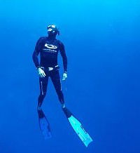 Byron Bay Dive Centre - Australian Destinations 1