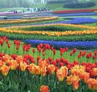 Botanica World Discoveries - Australian Destinations