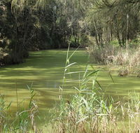 Second Ponds Creek walk - Australian Destinations