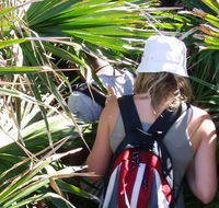 Palm Jungle loop track - Australian Destinations
