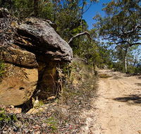 Canoelands Ridge walking track - Australian Destinations