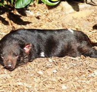 Symbio Wildlife Park - Australian Destinations