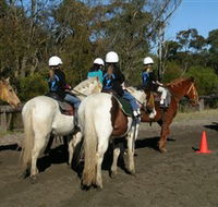 Darkes Forest Riding Ranch - Australian Destinations