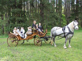 Nailsworth SA Australian Destinations