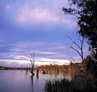 Loch Luna Game Reserve and Moorook Game Reserve - Australian Destinations