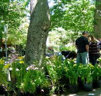 The Stirling Market - Australian Destinations