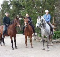 Academy of Dressage - Australian Destinations
