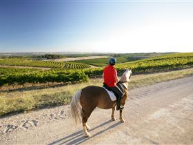 Willunga Hill SA Australian Destinations