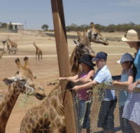 Monarto Open Range Zoo - Australian Destinations
