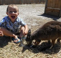 Animal Farm Goolwa - Australian Destinations