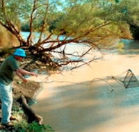 Charleville - Ward River Fishing Spot - Australian Destinations
