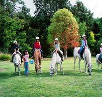 Limestone Coast Horseriding - Australian Destinations