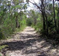 Lanky's Walk