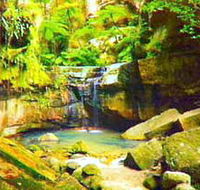 Carnarvon Gorge Carnarvon National Park - Australian Destinations