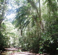 Mount Lewis National Park - Australian Destinations