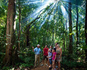 Mossman Gorge Centre - Australian Destinations 3