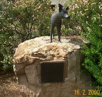 Dingo Statue - Australian Destinations