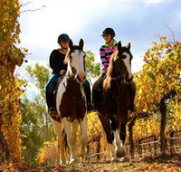 Billabong Ranch - Australian Destinations