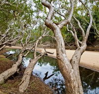 Oyala Thumotang National Park CYPAL - Australian Destinations