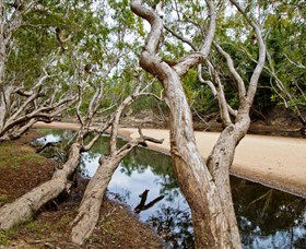 Oyala Thumotang National Park (CYPAL) - Australian Destinations 0
