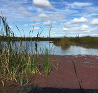 Gwydir Wetlands - Australian Destinations
