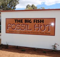 Big Fish Fossil Hut at Peak Hill - Australian Destinations