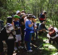 Warrumbungle National Park Discovery Program - Australian Destinations