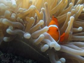Whitsundays QLD Australian Destinations