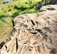 Terramungamine Rock Grooves - Australian Destinations