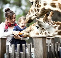 Taronga Western Plains Zoo Dubbo - Australian Destinations