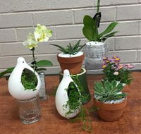 Cobram Florist - Australian Destinations