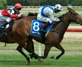 Ballarat Turf Club - Australian Destinations 3