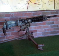 Woodpecker Gun - Australian Destinations
