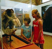 Australian Museum Diprotodon Exhibition - Australian Destinations