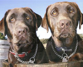 Ellender Estate - Australian Destinations 7