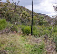 Lynchs loop trail - Australian Destinations