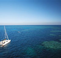 Bait Reef and Garys Lagoon Dive Site - Australian Destinations