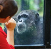 The Rockhampton Zoo - Australian Destinations